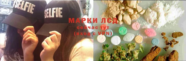 трава Няндома
