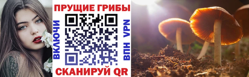 как найти закладки  omg tor  Галлюциногенные грибы ЛСД  Переславль-Залесский 